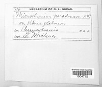 Image Associated With the Occurence